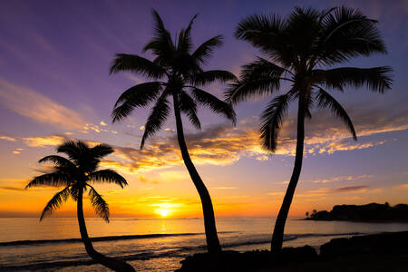 Sunset on a Hawaiian beach