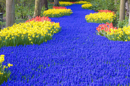 Jardines de Keukenhof en Lisse