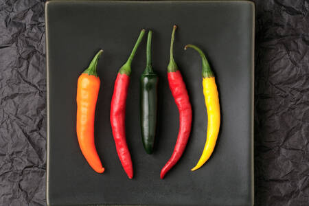 Poivrons multicolores sur une assiette noire