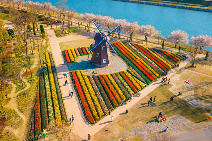 منظر جوي لحديقة الزهور