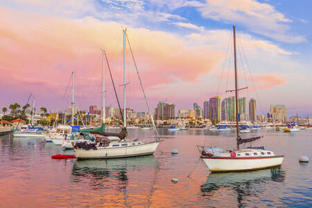 Yachts in San Diego Bay