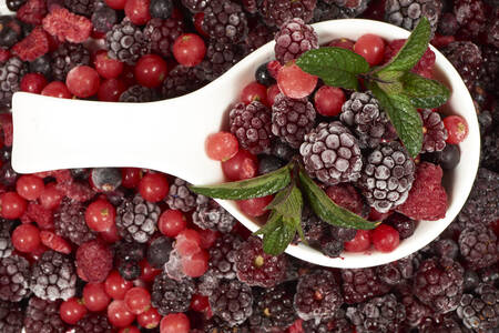 Frosne bær og blader