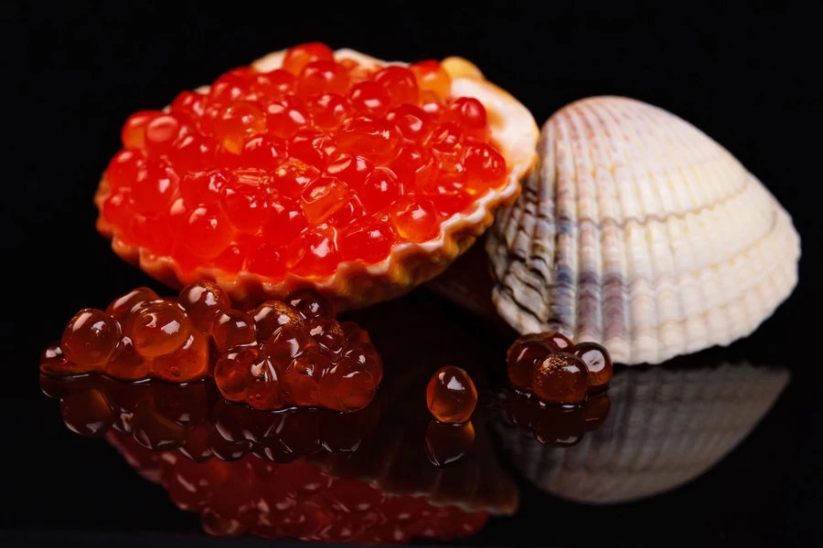 Caviar vermelho em uma concha do mar