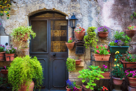 Facade in pots with flowers