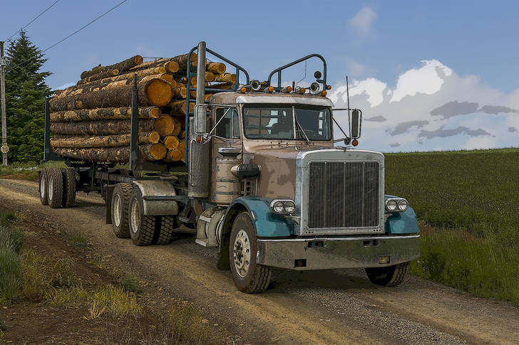 Kamion za stabla na cesti