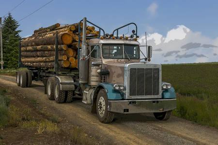 Timber truck on the road