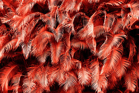 Rode tropische bladeren