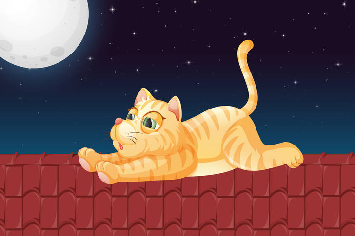 Mačka na krovu