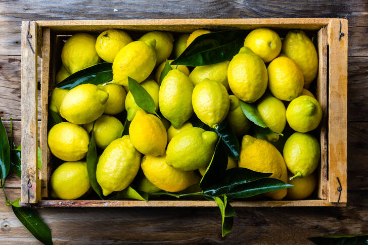 Lemons in a wooden box