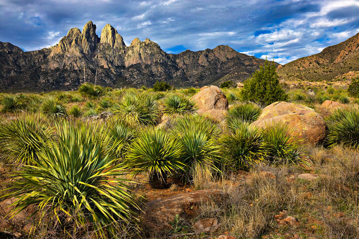 Montañas de órganos, Nuevo México