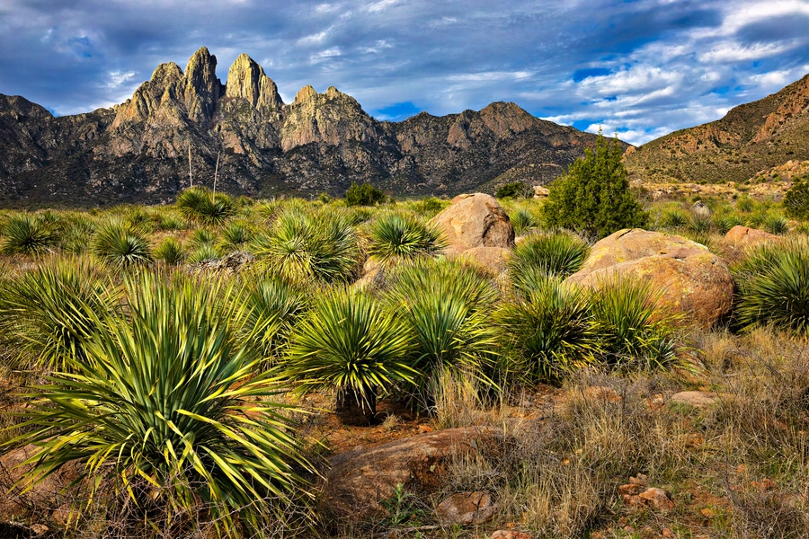 Montañas de órganos, Nuevo México