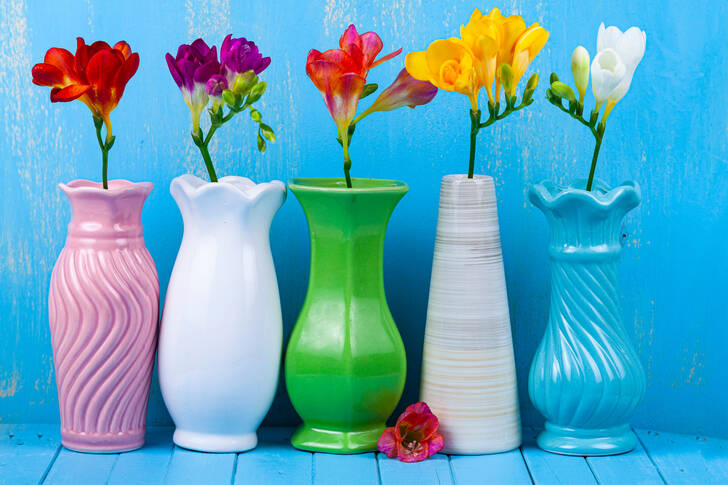 Freesia i olika vaser