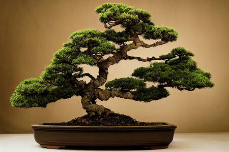 Copac bonsai