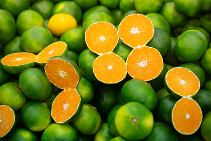 Grüne Mandarinen