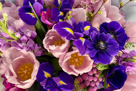 Bouquet di iris e tulipani