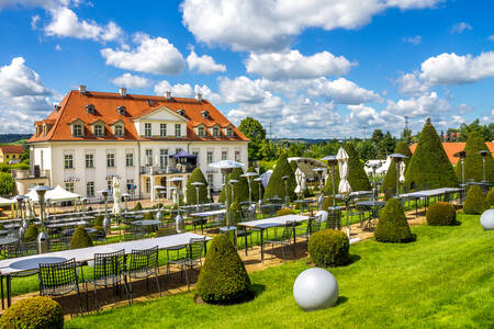 Weingut Schloss Wackerbarth