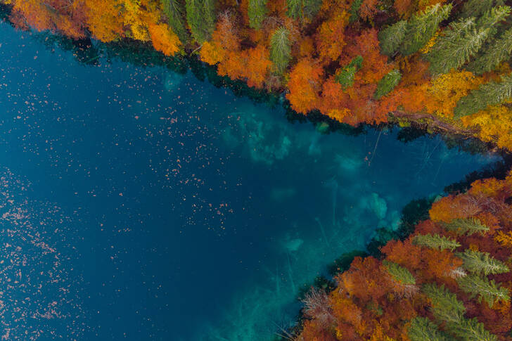 See mit Herbstwald