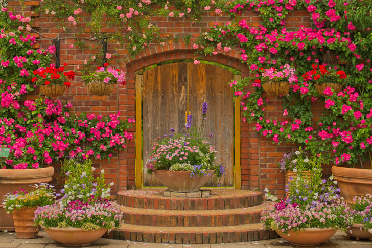 Wooden garden door in flowers