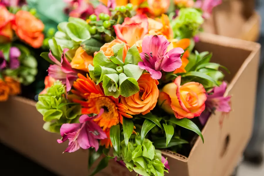 Ljus bukett av sommarblommor