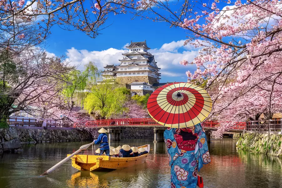 Himeji Kalesi