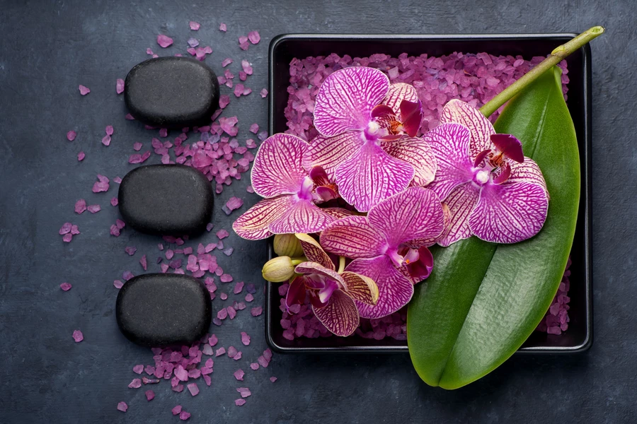Gałąź orchidei