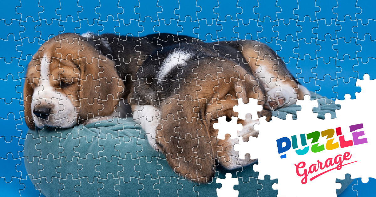 Beagle puppies on a pillow Jigsaw Puzzle (Animals, Pets) Puzzle Garage