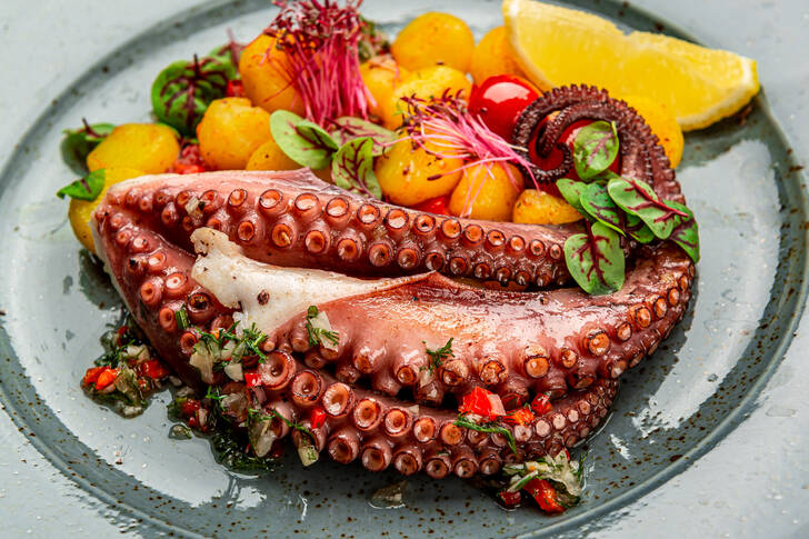 Oktopus mit Gemüse