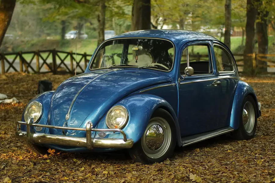 Auto nel parco d'autunno