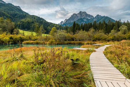 Zelenci Doğa Koruma Alanı, Slovenya