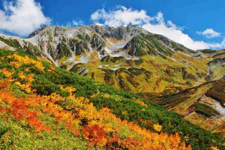 Гора Татеяма