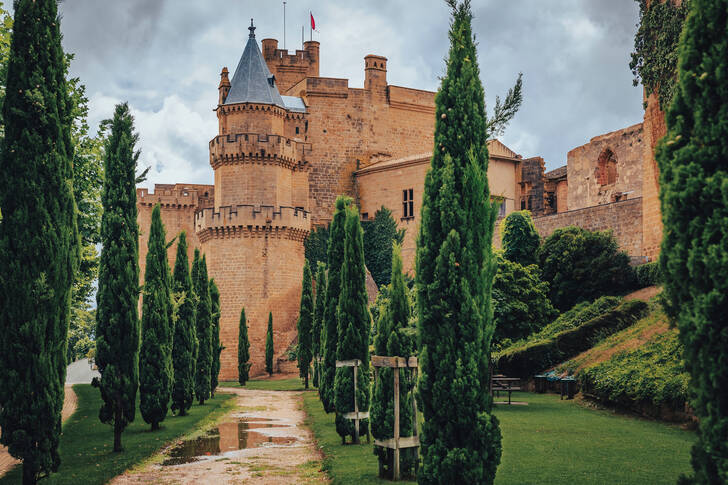 Дворец-замък Олита