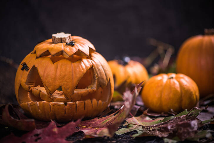 Abóbora Jack-o'-lantern sobre folhas