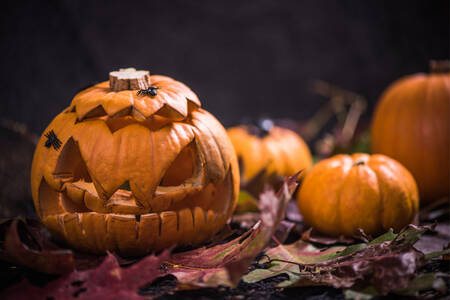 Jack-o'-lantern lehtedel