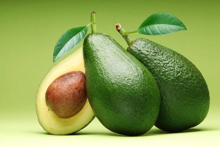 Avocado on a green background