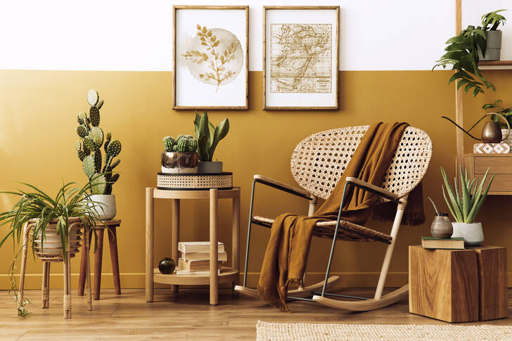 Living room interior with wooden furniture