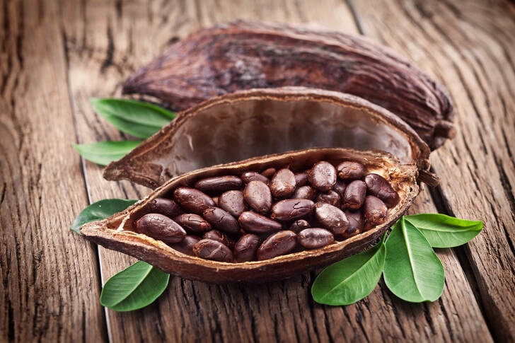 Cocoa beans on a wooden table