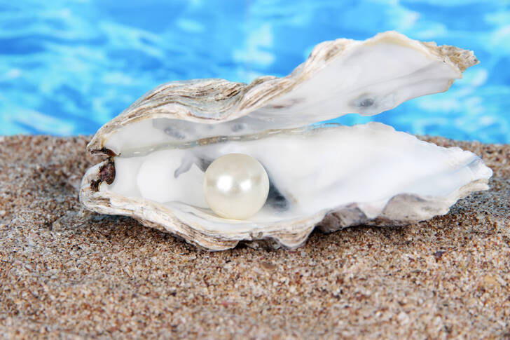 Oyster with pearl