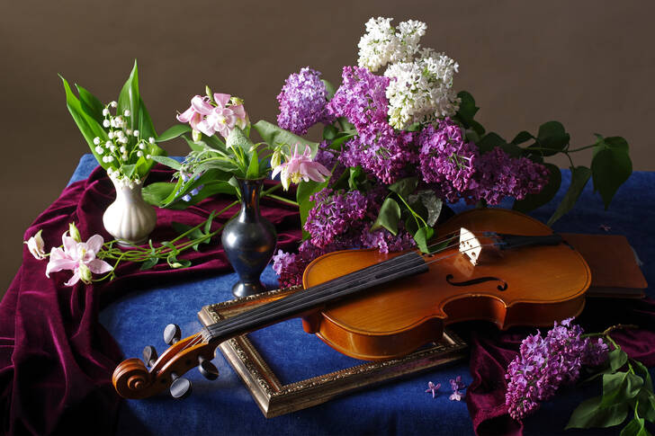 Lilas et violon sur la table