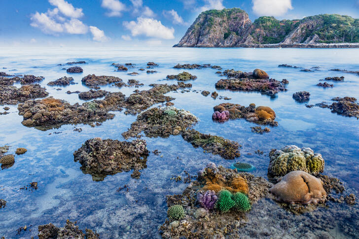 Prirodni rezervat Phu Yen