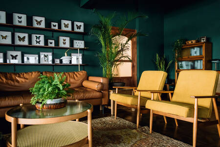 Stylish living room with brown furniture