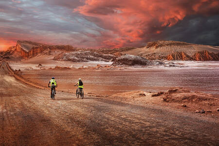 Bikers in the desert