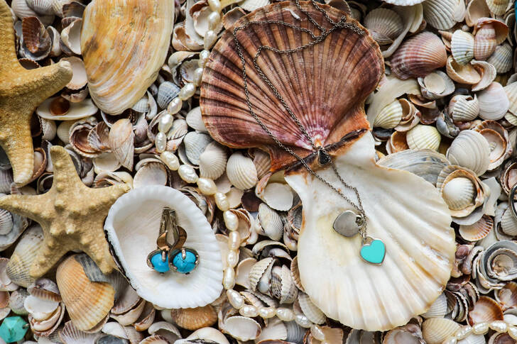 Jewelry on shells