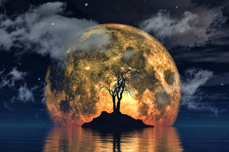 Tree on the background of the big moon