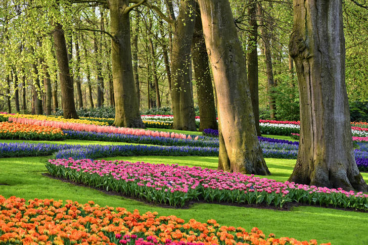 Park with spring flowers