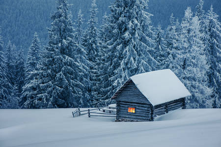 Wooden house in winter forest