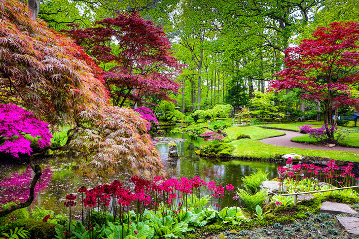 Japanese garden in the Hague
