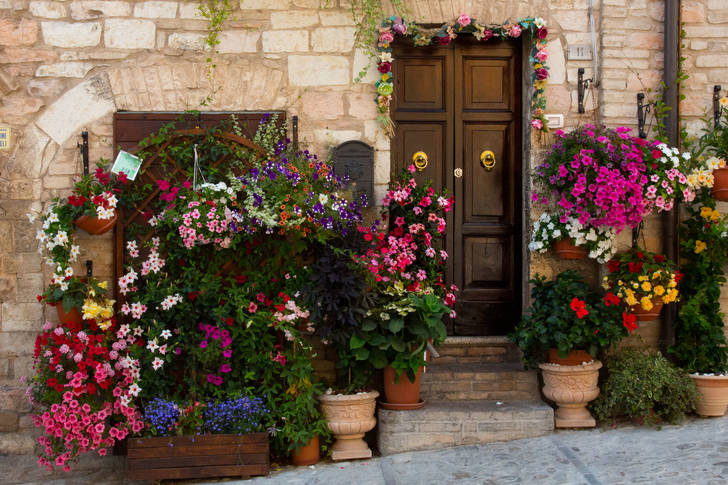 Flower pots at the front door