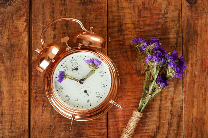 Alarm clock and flowers on a wooden table