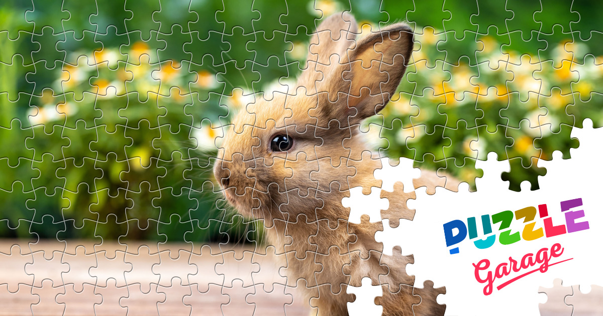 Little Rabbit Jigsaw Puzzle (animals, Pets) 