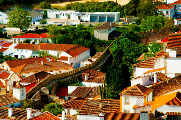 Roofs of Obidos